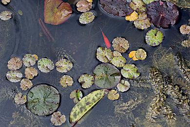 《美女，应接不暇》：角色扮演与AI技术结合，明日Steam见